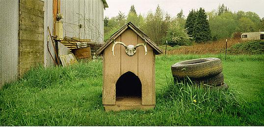 Level5宣布妖怪手表精神续作《Holy Horror Mansion》